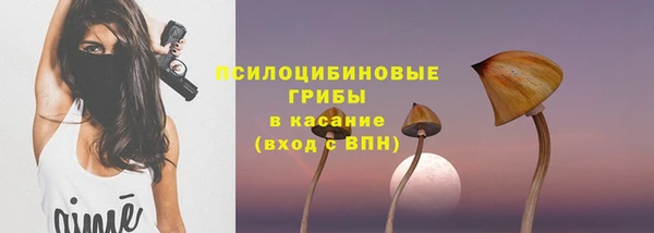 эйфоретик Абинск
