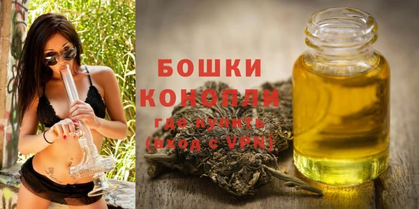 ешки Протвино