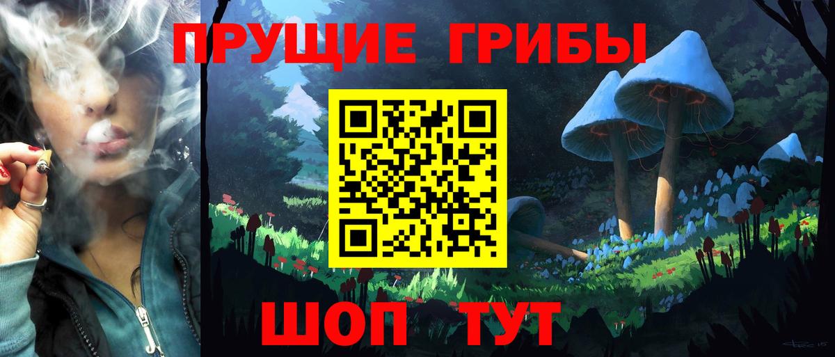 Галлюциногенные грибы Magic Shrooms Зеленодольск