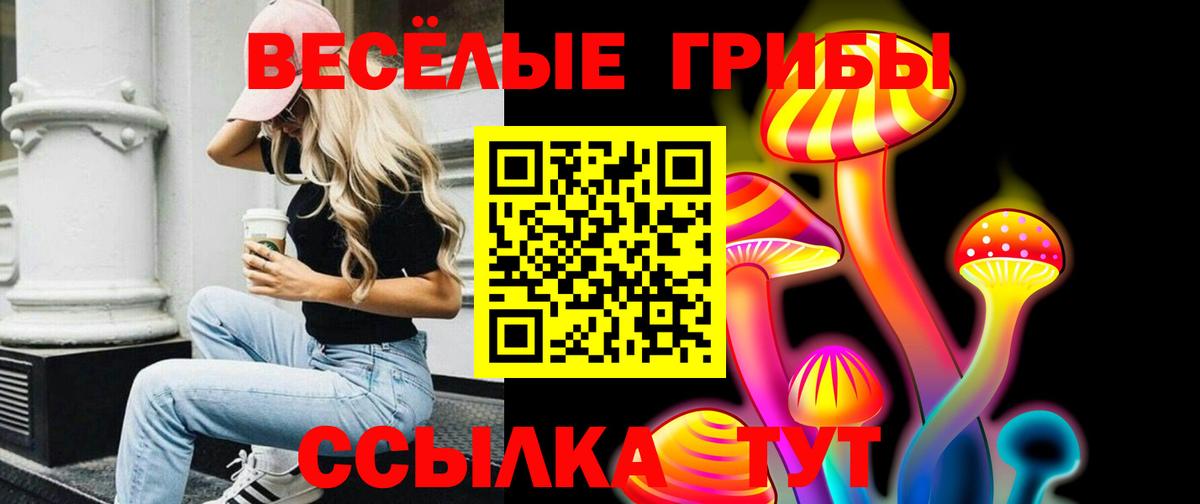 цена   Вход с VPN  Зеленодольск  Псилоцибиновые грибы мухоморы 